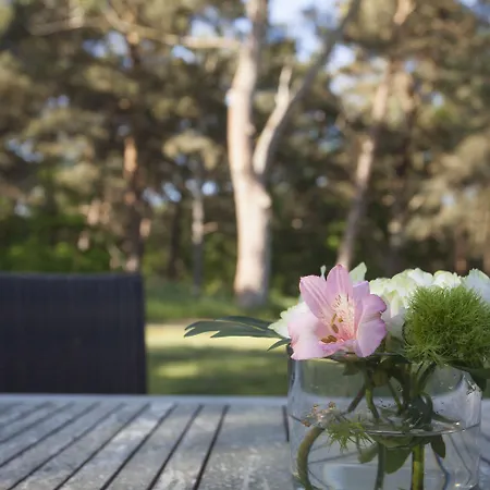 Fischland * Dierhagen