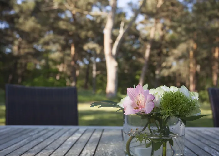 Fischland * ديارهاجين